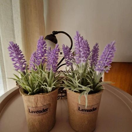 Levanda House PalaiónTsiflíkion Dış mekan fotoğraf